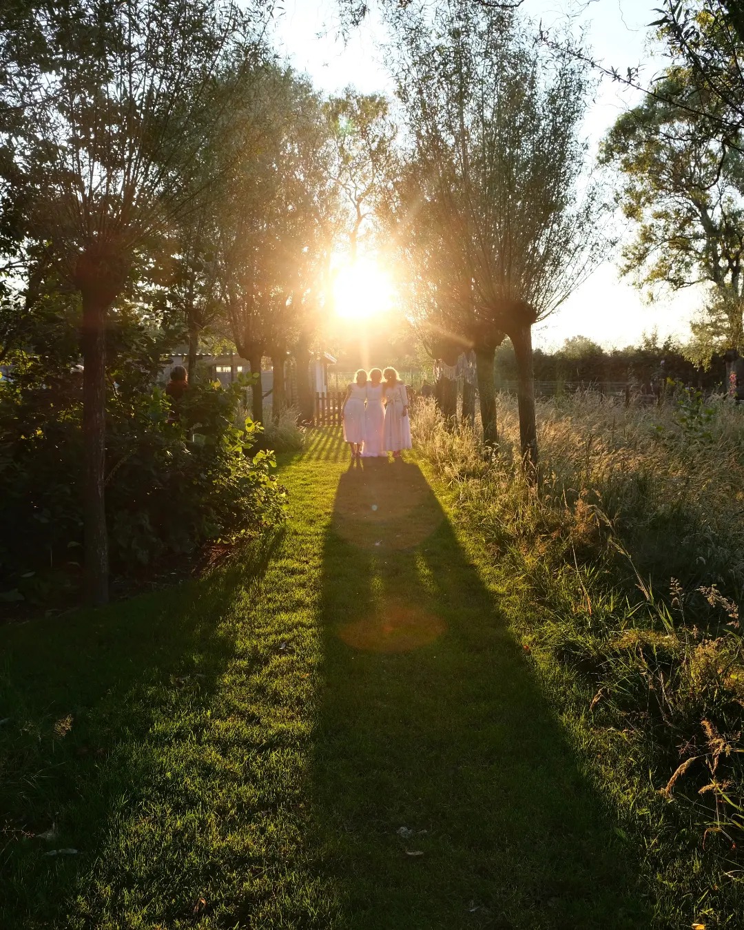 Coverfoto Fourchette tuinconcert zonsondergang