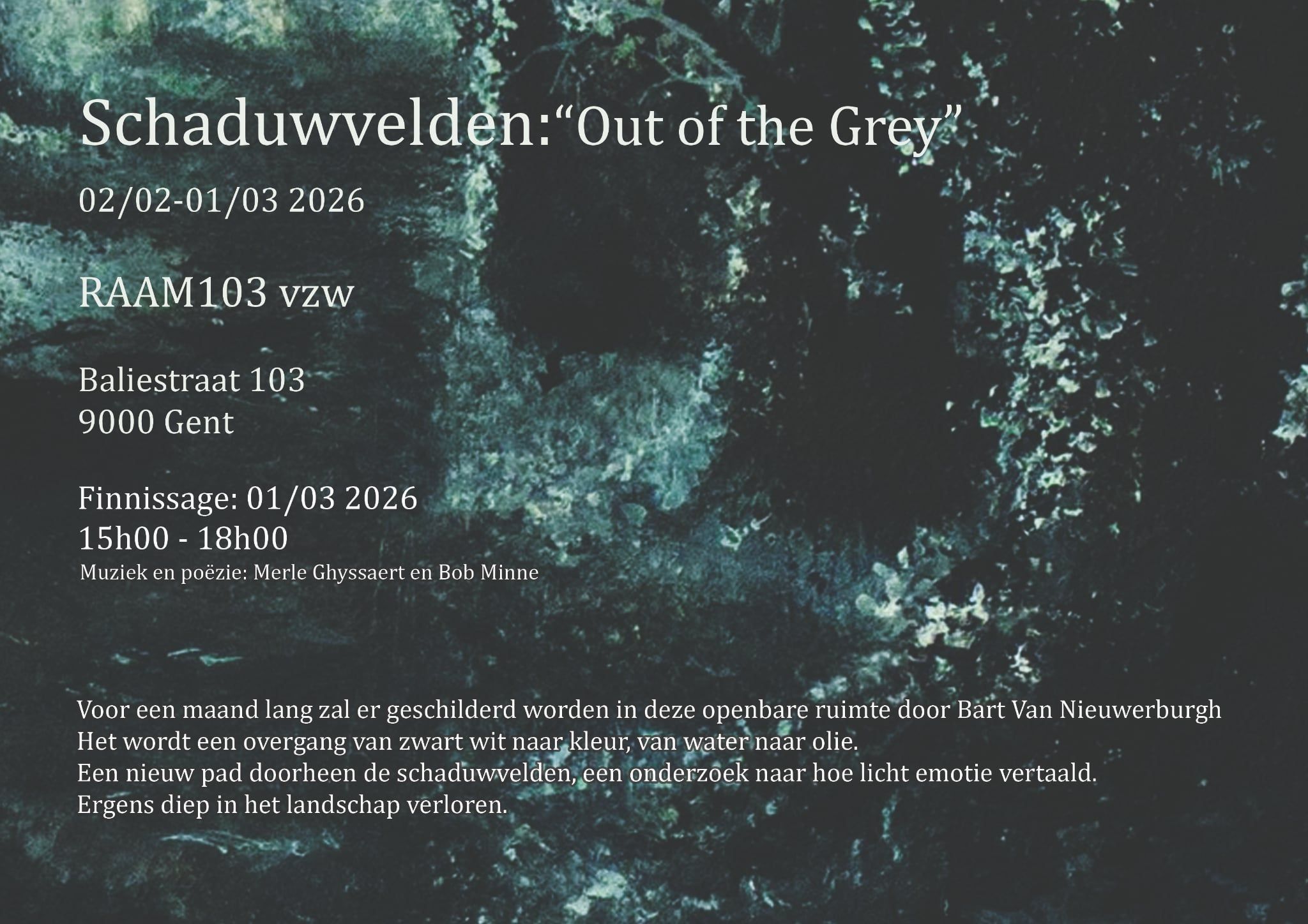 Coverfoto Schaduwvelden: 'Out of the grey' Bart Van Nieuwerburgh